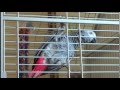 Видео № 5