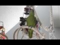 Видео № 43