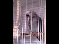 Видео № 38