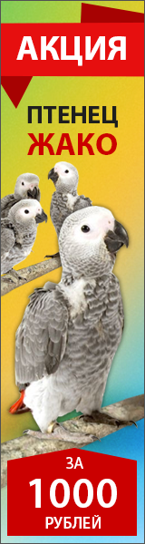 banner160x600_1