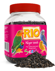 RIO_abissinskiy_nug