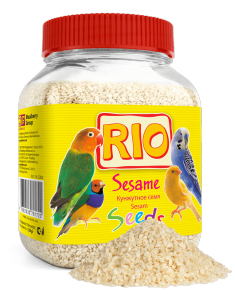 RIO_kunzhut